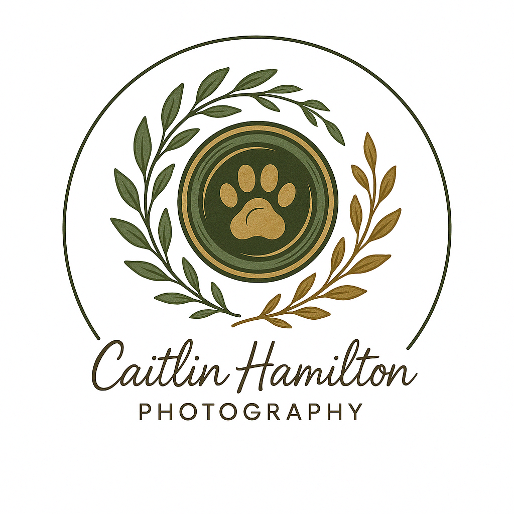 Caitlin Hamilton Photography